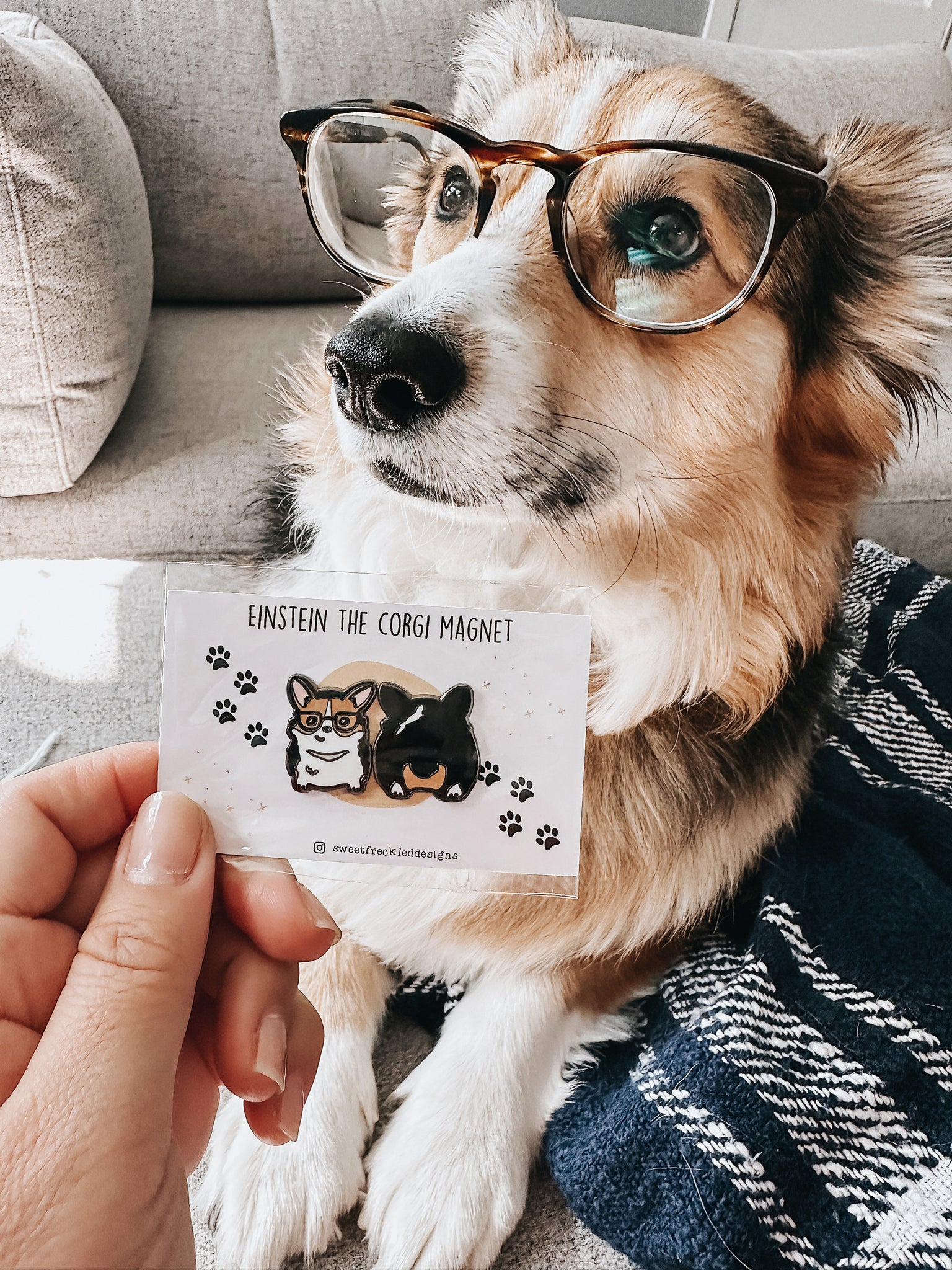 Magnet Set: Einstein the Corgi Dog