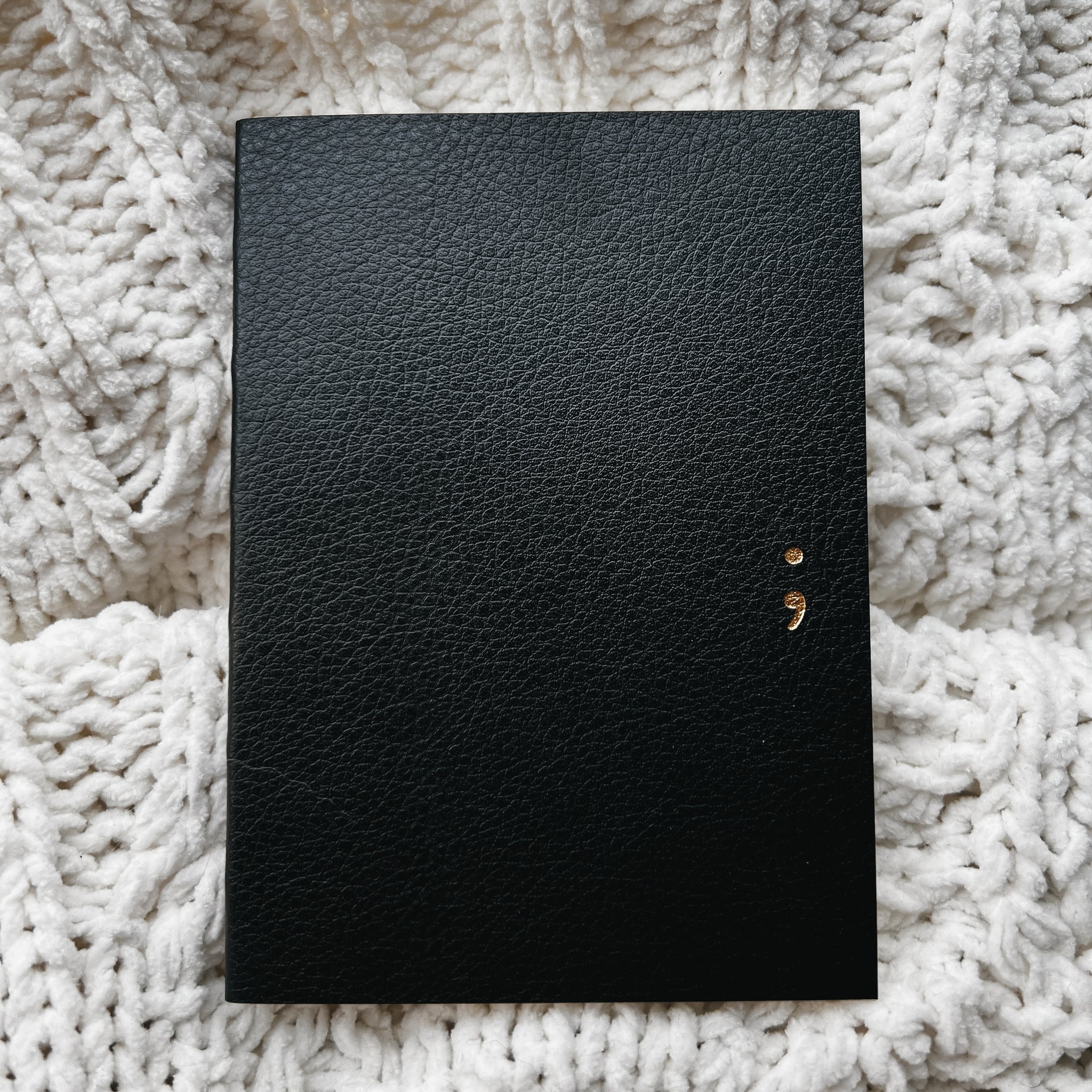 Passport Insert (PU Leatherette Cover)